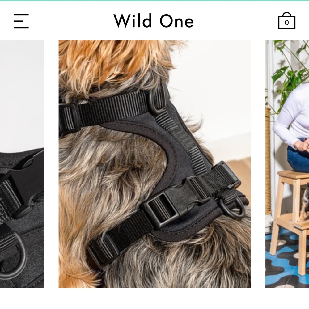 Wild One Harness - Black